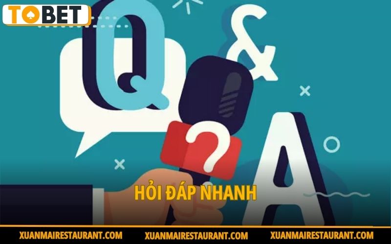 Hỏi đáp nhanh
